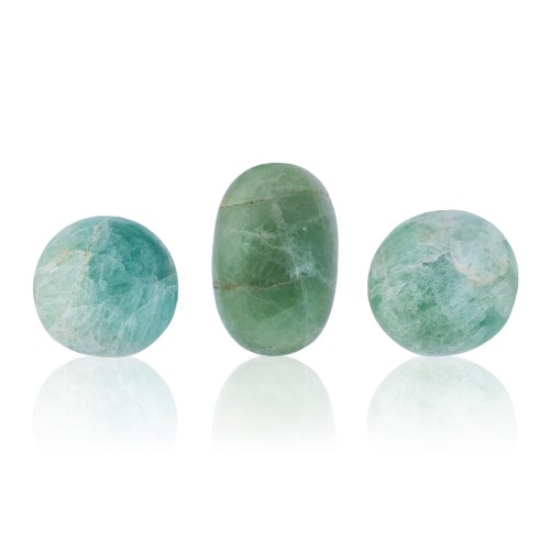 ESFL055 (1).jpg