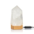ILCQP034 (5).jpg
