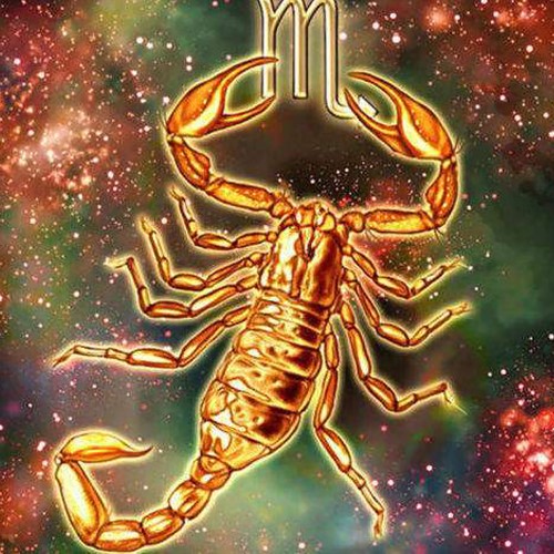 weklejanka1 (29).jpg