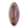 j2.jpg